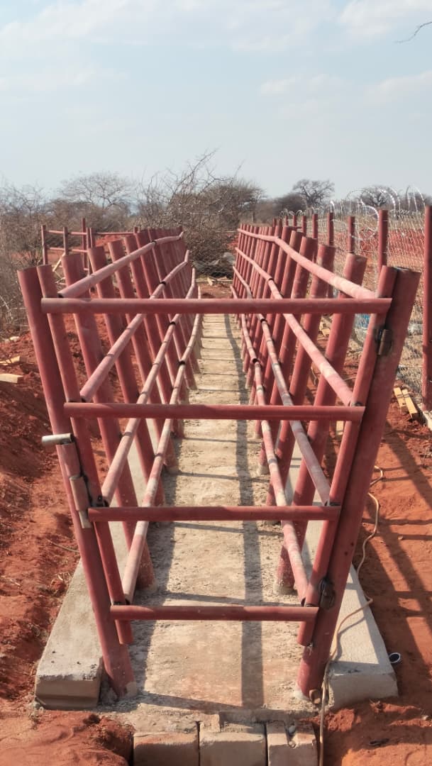 Cattle Crush - Professional cattle handling facility